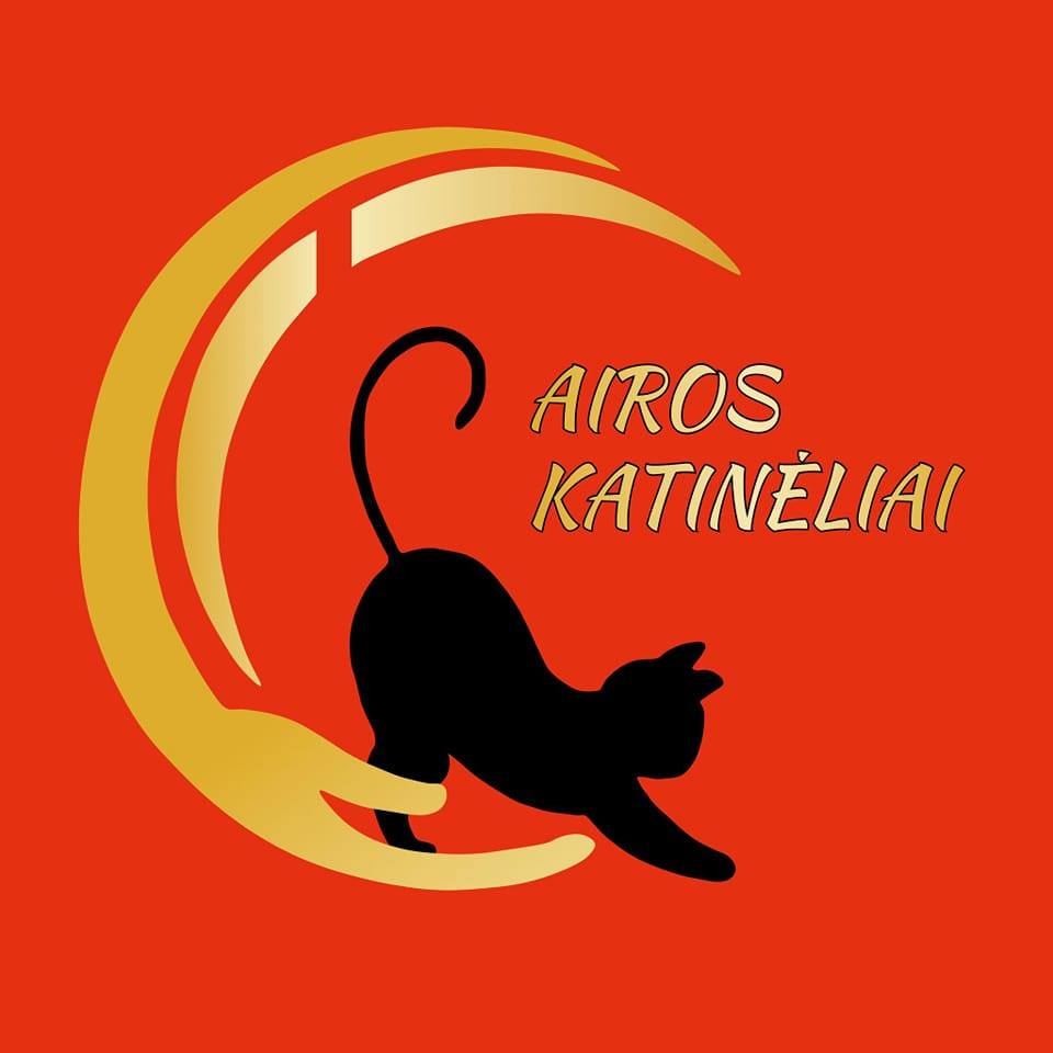 Airos katinėliai